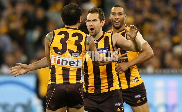 AFL 2015 Second Semi Final - Hawthorn v Adelaide - 404274