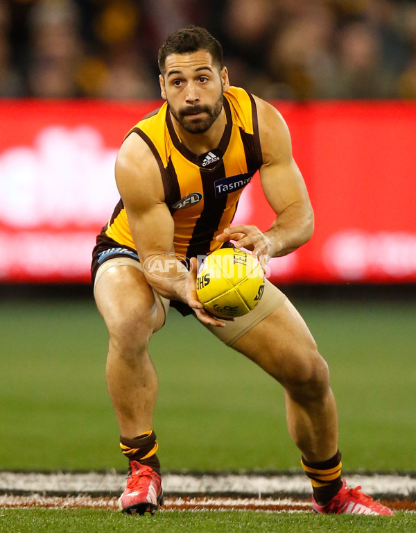 AFL 2015 Second Semi Final - Hawthorn v Adelaide - 404302