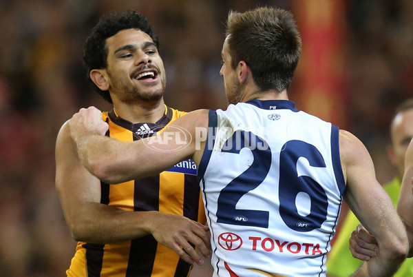 AFL 2015 Second Semi Final - Hawthorn v Adelaide - 404309