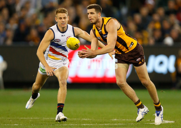 AFL 2015 Second Semi Final - Hawthorn v Adelaide - 404283