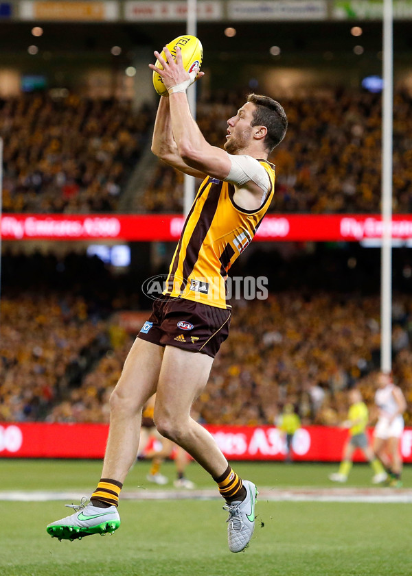 AFL 2015 Second Semi Final - Hawthorn v Adelaide - 404326