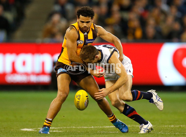 AFL 2015 Second Semi Final - Hawthorn v Adelaide - 404357