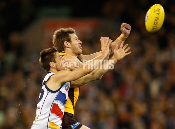 AFL 2015 Second Semi Final - Hawthorn v Adelaide - 404345