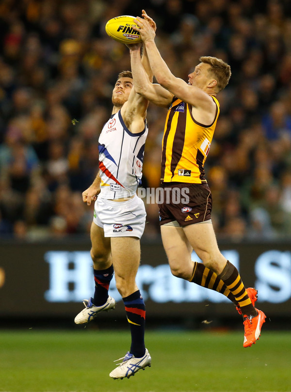 AFL 2015 Second Semi Final - Hawthorn v Adelaide - 404352