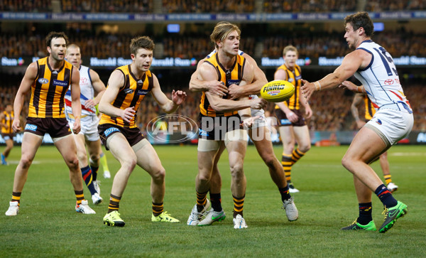 AFL 2015 Second Semi Final - Hawthorn v Adelaide - 404339