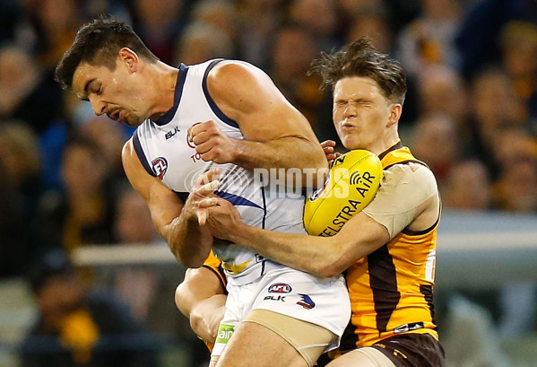 AFL 2015 Second Semi Final - Hawthorn v Adelaide - 404323