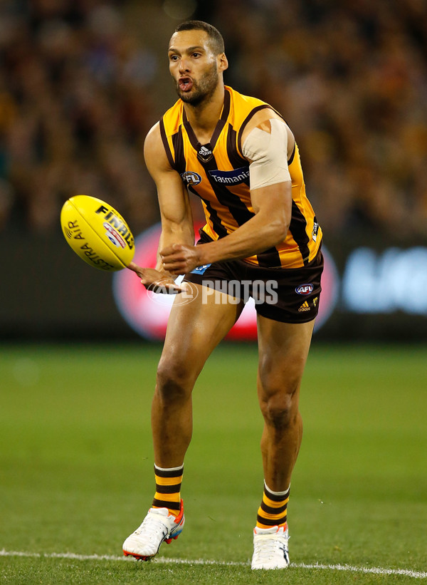 AFL 2015 Second Semi Final - Hawthorn v Adelaide - 404288