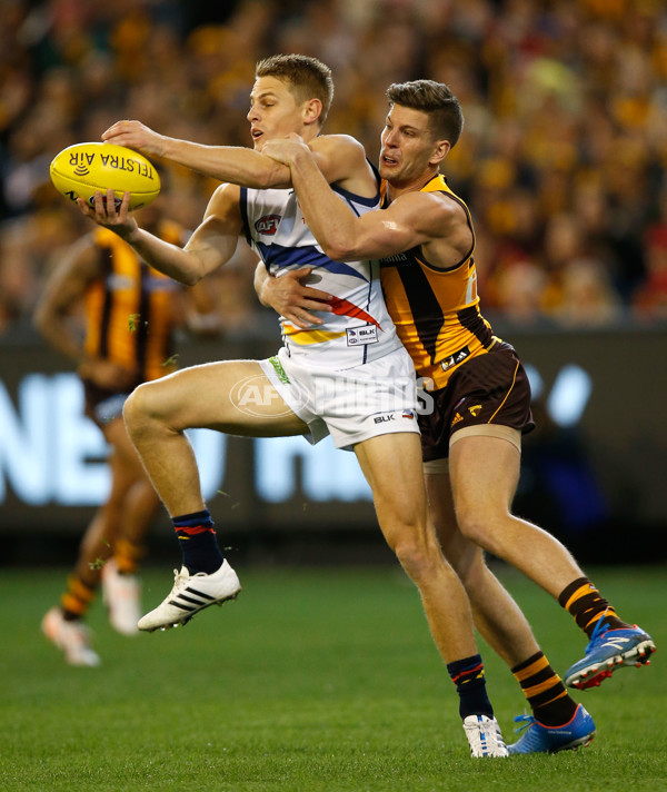 AFL 2015 Second Semi Final - Hawthorn v Adelaide - 404316