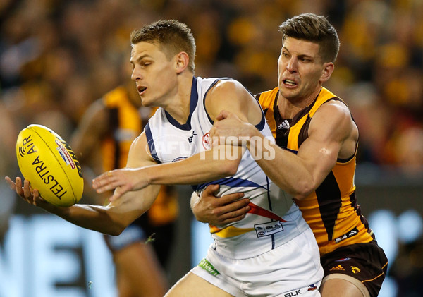 AFL 2015 Second Semi Final - Hawthorn v Adelaide - 404314