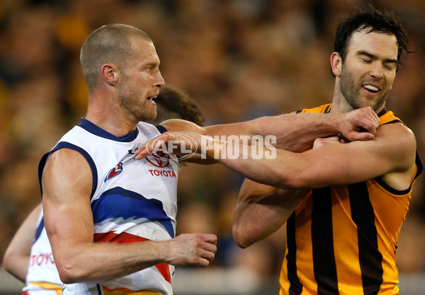 AFL 2015 Second Semi Final - Hawthorn v Adelaide - 404342