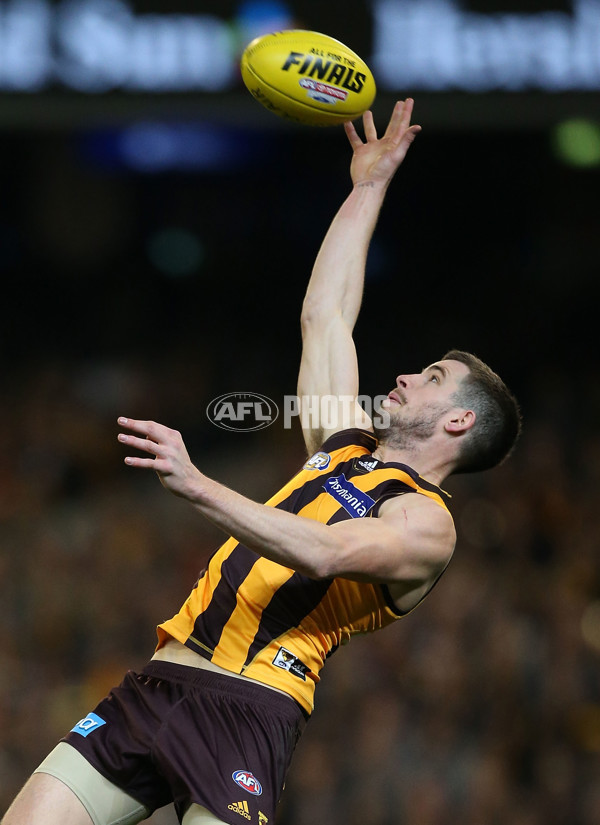 AFL 2015 Second Semi Final - Hawthorn v Adelaide - 404383