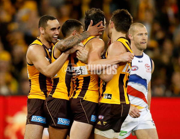 AFL 2015 Second Semi Final - Hawthorn v Adelaide - 404453