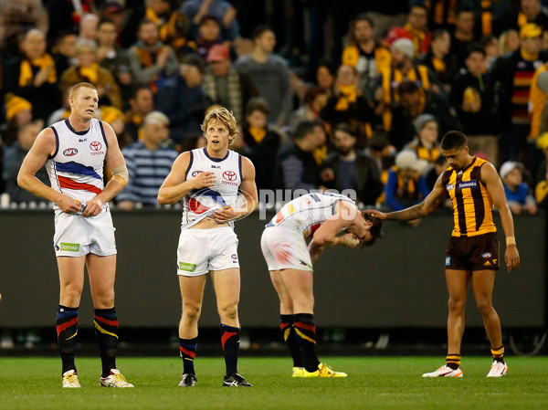 AFL 2015 Second Semi Final - Hawthorn v Adelaide - 404447