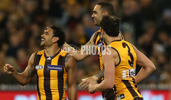 AFL 2015 Second Semi Final - Hawthorn v Adelaide - 404421