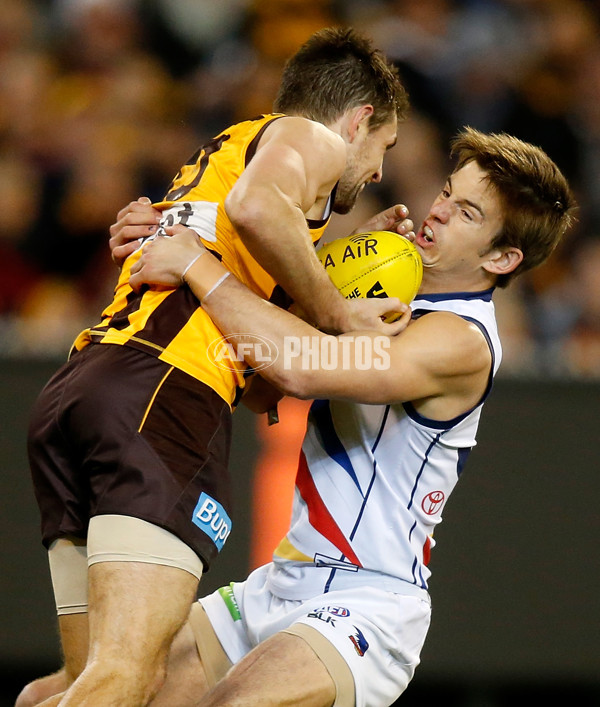 AFL 2015 Second Semi Final - Hawthorn v Adelaide - 404471