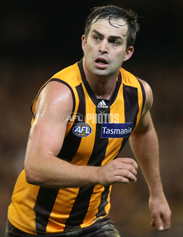 AFL 2015 Second Semi Final - Hawthorn v Adelaide - 404480