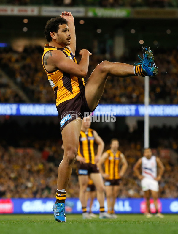 AFL 2015 Second Semi Final - Hawthorn v Adelaide - 404509