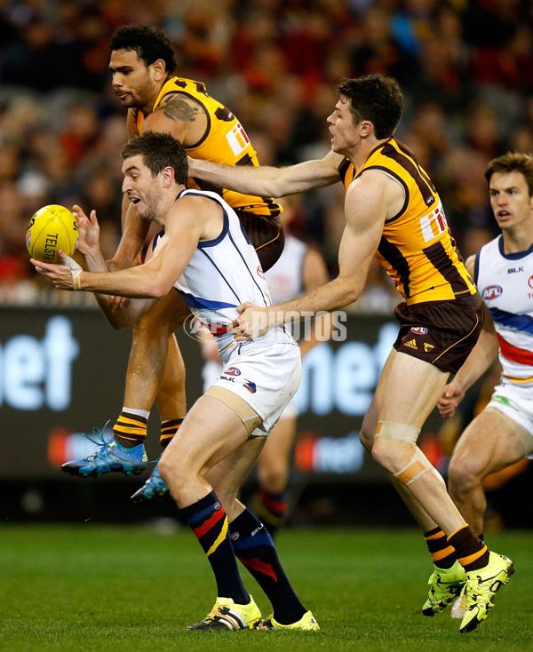 AFL 2015 Second Semi Final - Hawthorn v Adelaide - 404472