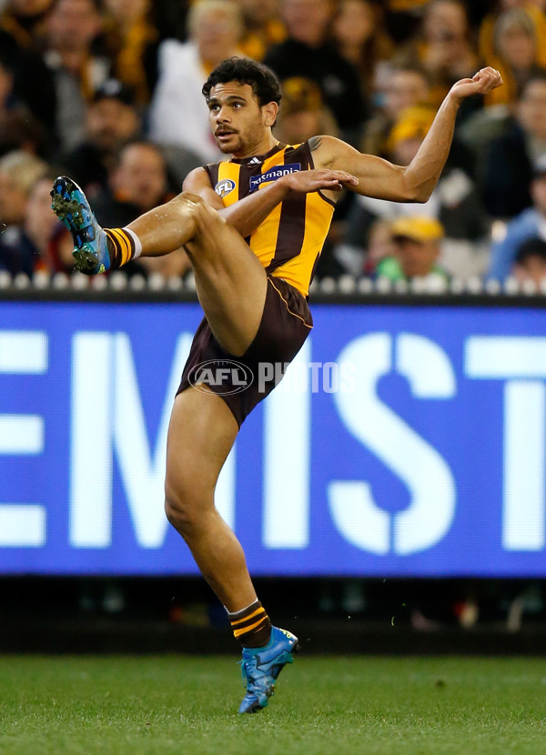 AFL 2015 Second Semi Final - Hawthorn v Adelaide - 404486