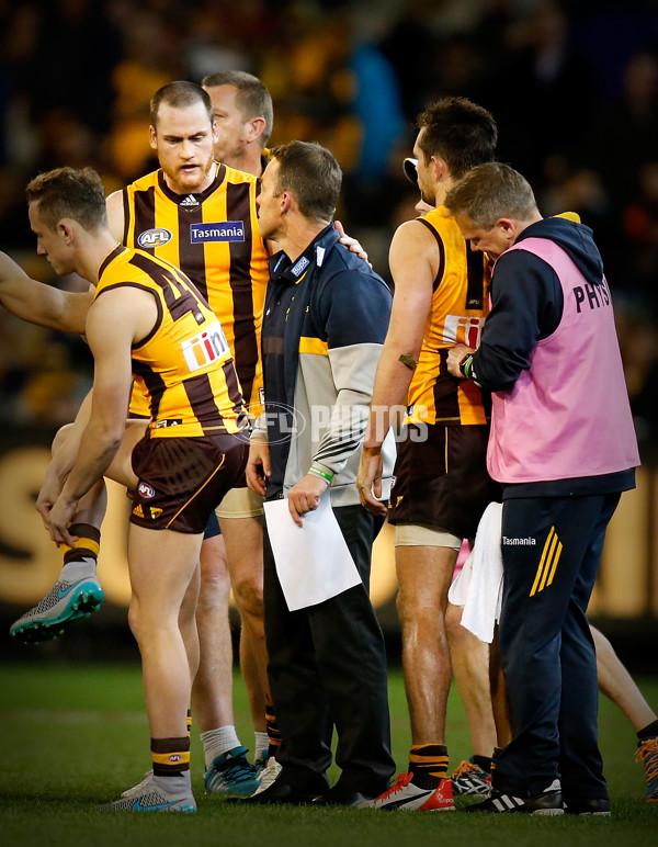 AFL 2015 Second Semi Final - Hawthorn v Adelaide - 405053