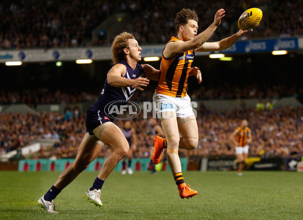 AFL 2015 First Preliminary Final - Fremantle v Hawthorn - 405332