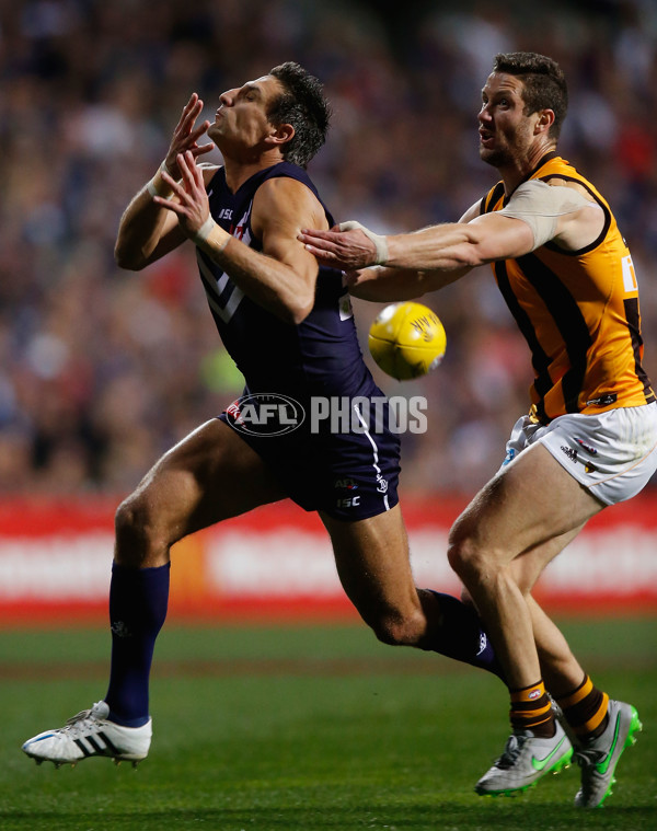 AFL 2015 First Preliminary Final - Fremantle v Hawthorn - 405354