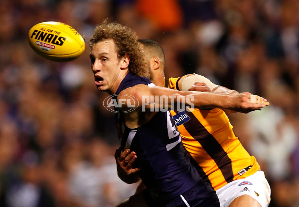 AFL 2015 First Preliminary Final - Fremantle v Hawthorn - 405335