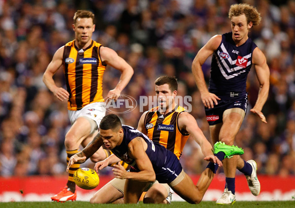 AFL 2015 First Preliminary Final - Fremantle v Hawthorn - 405362