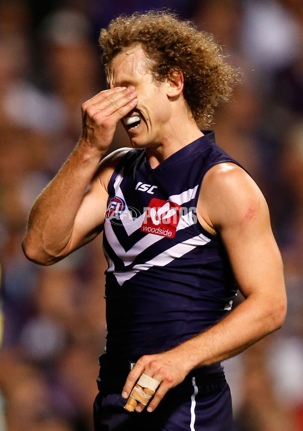 AFL 2015 First Preliminary Final - Fremantle v Hawthorn - 405333