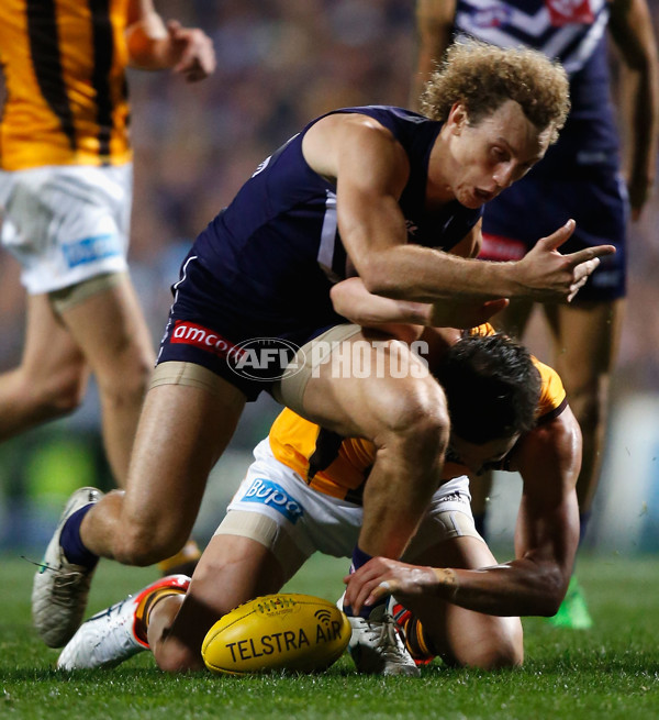 AFL 2015 First Preliminary Final - Fremantle v Hawthorn - 405381