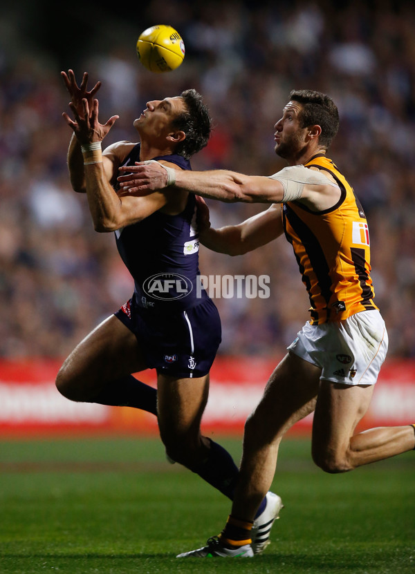 AFL 2015 First Preliminary Final - Fremantle v Hawthorn - 405353