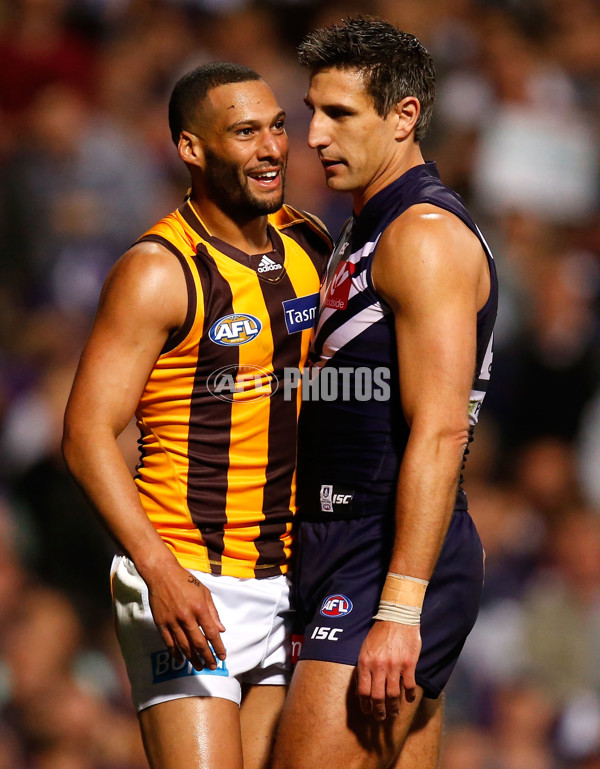 AFL 2015 First Preliminary Final - Fremantle v Hawthorn - 405366