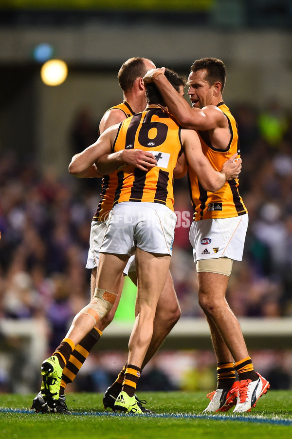 AFL 2015 First Preliminary Final - Fremantle v Hawthorn - 405377