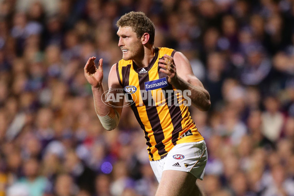 AFL 2015 First Preliminary Final - Fremantle v Hawthorn - 405474