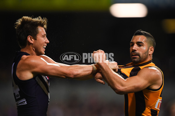 AFL 2015 First Preliminary Final - Fremantle v Hawthorn - 405488