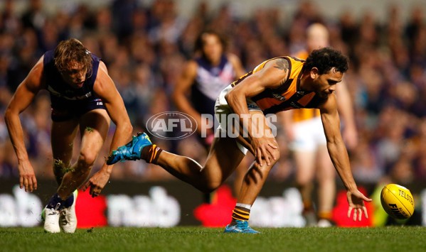 AFL 2015 First Preliminary Final - Fremantle v Hawthorn - 405509