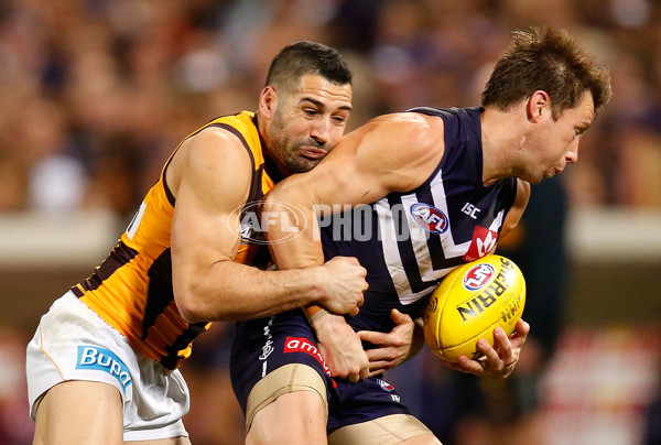 AFL 2015 First Preliminary Final - Fremantle v Hawthorn - 405654