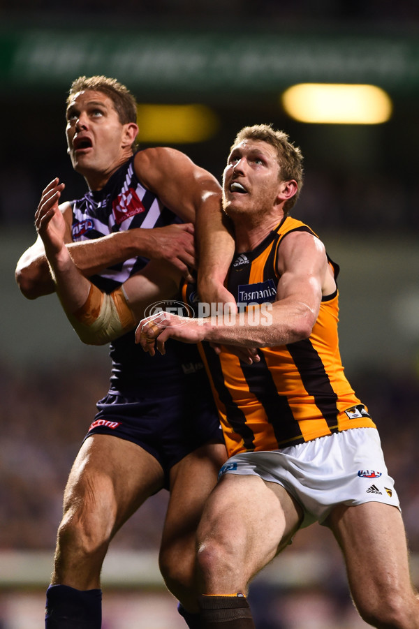 AFL 2015 First Preliminary Final - Fremantle v Hawthorn - 405436