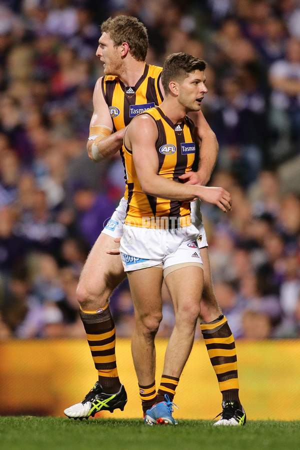 AFL 2015 First Preliminary Final - Fremantle v Hawthorn - 405447