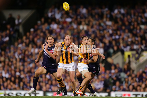 AFL 2015 First Preliminary Final - Fremantle v Hawthorn - 405455