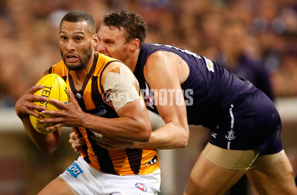 AFL 2015 First Preliminary Final - Fremantle v Hawthorn - 405439