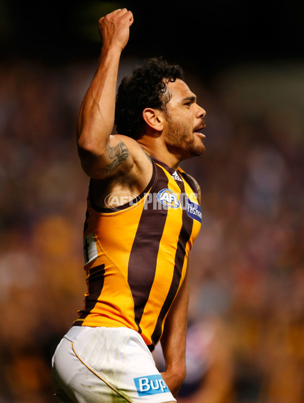 AFL 2015 First Preliminary Final - Fremantle v Hawthorn - 405524