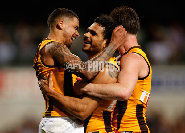 AFL 2015 First Preliminary Final - Fremantle v Hawthorn - 405499