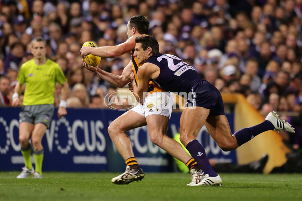 AFL 2015 First Preliminary Final - Fremantle v Hawthorn - 405519