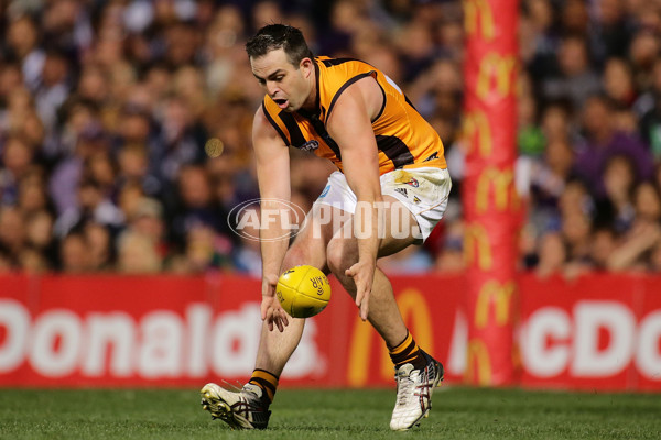 AFL 2015 First Preliminary Final - Fremantle v Hawthorn - 405568