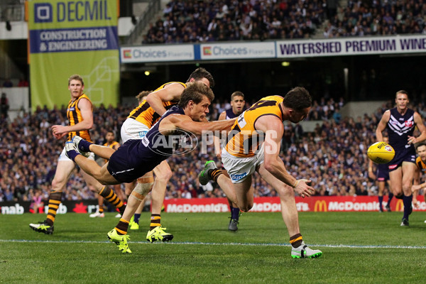 AFL 2015 First Preliminary Final - Fremantle v Hawthorn - 405636