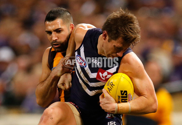 AFL 2015 First Preliminary Final - Fremantle v Hawthorn - 405653