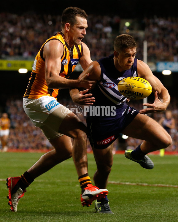 AFL 2015 First Preliminary Final - Fremantle v Hawthorn - 405641