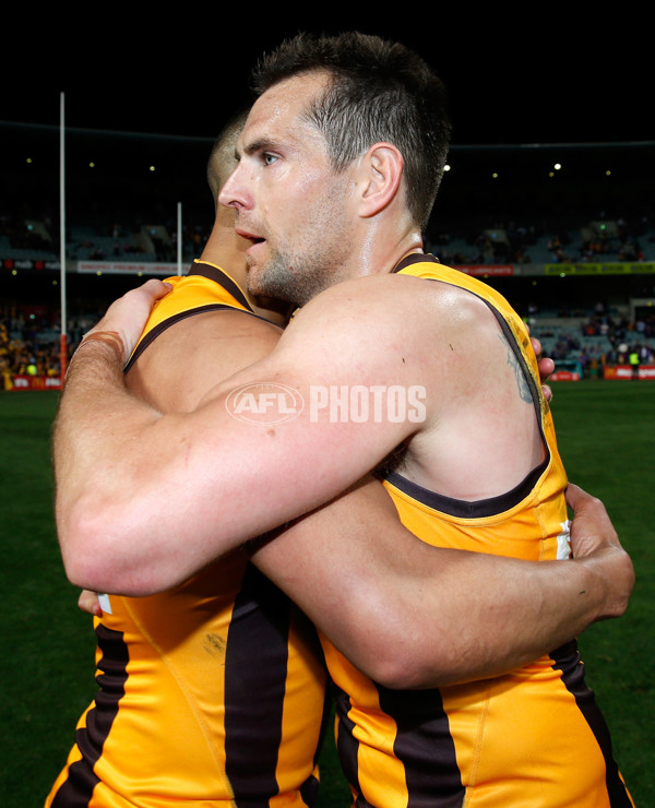 AFL 2015 First Preliminary Final - Fremantle v Hawthorn - 405649