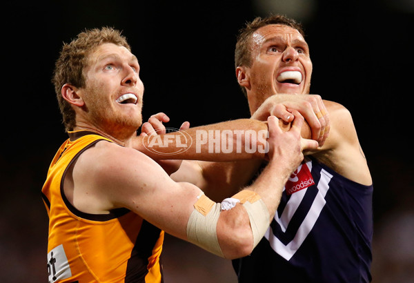 AFL 2015 First Preliminary Final - Fremantle v Hawthorn - 405679